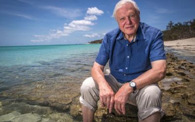Sir David Attenborough wants us to change our diets to save the planet