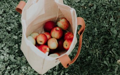 One way to ease climate anxiety: Go vegan!