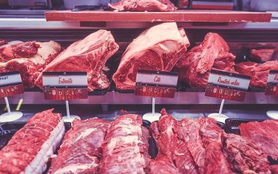 What is the future of meat?
