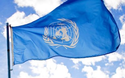 UN study reveals most national food-plans don’t align with climate goals