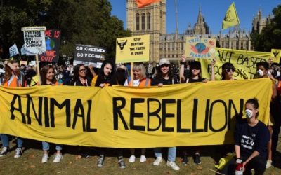“Governments must tell the truth” –  Animal Rebellion