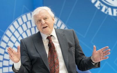 Sir David Attenborough sends warning to world leaders at UN