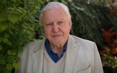 “A Life On Our Planet ” the new Sir David Attenborough documentary sounds final warming
