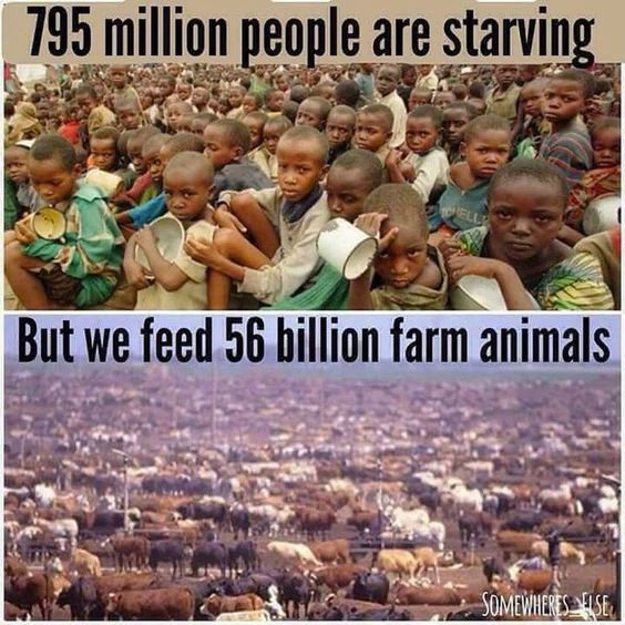 StarvingPeople