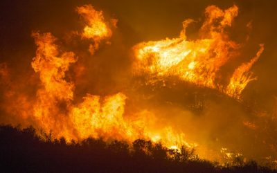 What we’re seeing now is just the beginning of the climate changes to come