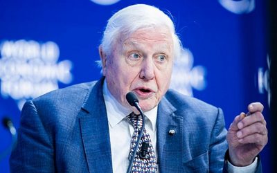 New David Attenborough film is desperate warning about massive species extinction