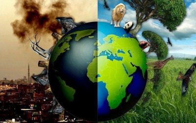 Half of all land on earth should be given back to nature says study