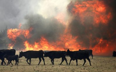 America is not doing enough to fix its broken food systems