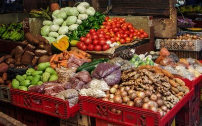 UN, WWF back changes in food systems to slow down climate change