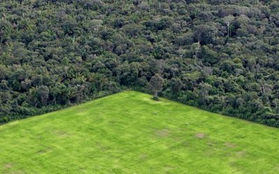 Brazil’s soy farming is destroying the Amazon