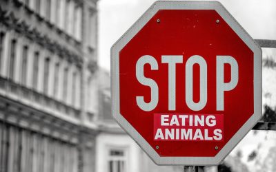 Do negative vegan stereotypes still hold up on a dying planet?
