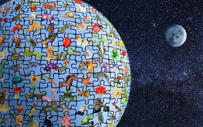 Global leaders gather for UN Biodiversity Summit