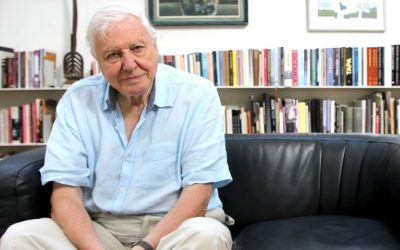 Curb excess capitalism to save nature says Attenborough
