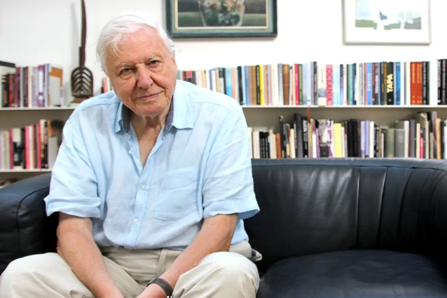 Curb excess capitalism to save nature says Attenborough