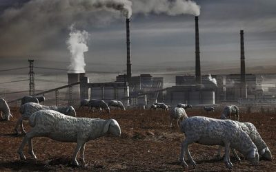 Animal agriculture is poisoning our air