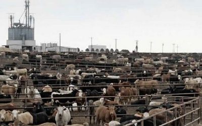 agriculture futures news