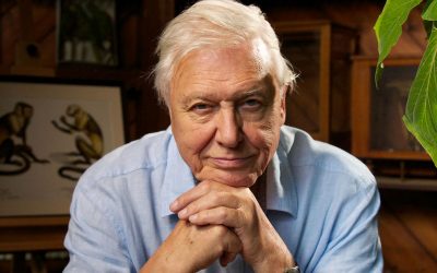 David Attenborough’s latest Netflix documentary proves to be a hit!