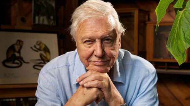 david attenborough