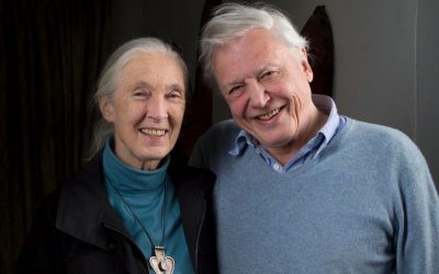 Jane Goodall says plant-based diets are “very, very important”