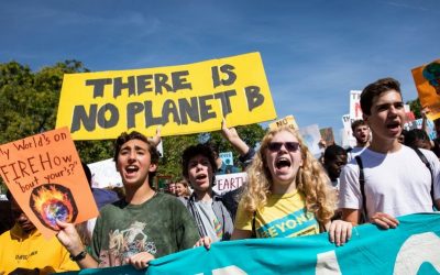 “Animal agriculture is killing the Earth”