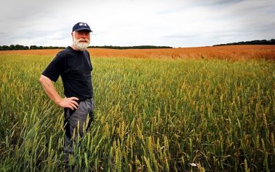England’s new farming policy will help to restore damaged environment