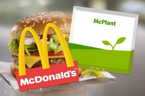 Launch of McDonald's plant-based range is shrouded in mystery - Animal ...