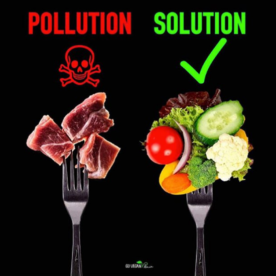 PollutionSolution