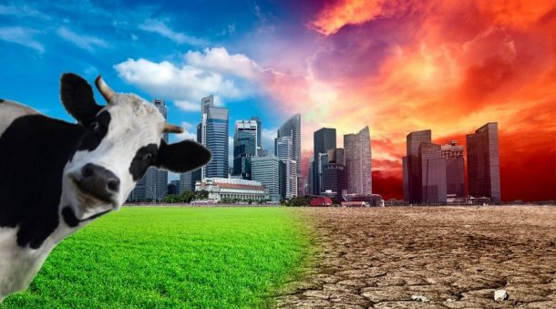 animal agriculture and climate change 2