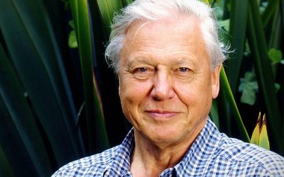Youth climate activists urge Sir David Attenborough to keep Instagram going to inform new audience