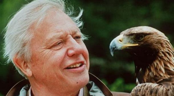 david attenborough 2