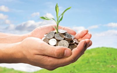 Taxing unsustainable foods is one way to encourage green-eating, says UK Health Alliance