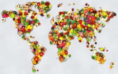 Study finds plant-based diets most effective at combating climate change