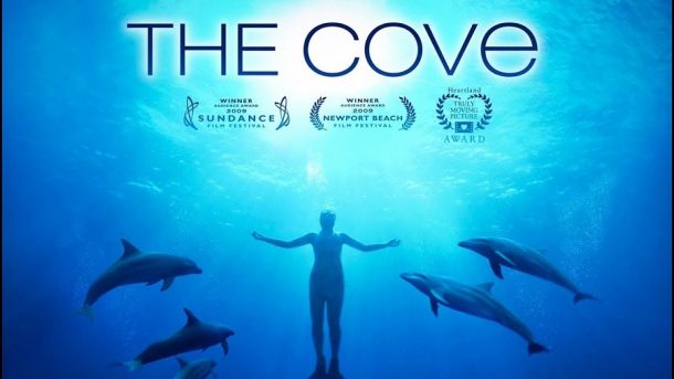 AACC Animal documentaries