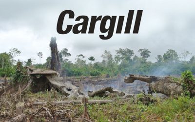 Cargill: The worst company in the world that you’ve never heard of