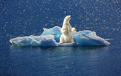 Is the Paris agreement still the best plan we have?