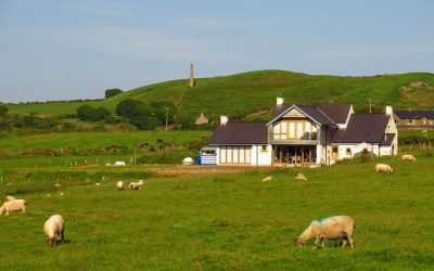 Report warns agriculture dependent Wales to cut climate emissions