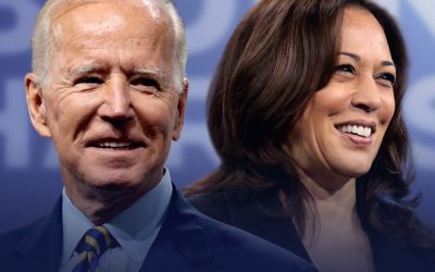 Biden-Harris Administration urged to phase out animal agriculture