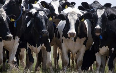 precision agriculture news