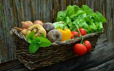 Sustainable, climate-friendly diets make us healthier, says research