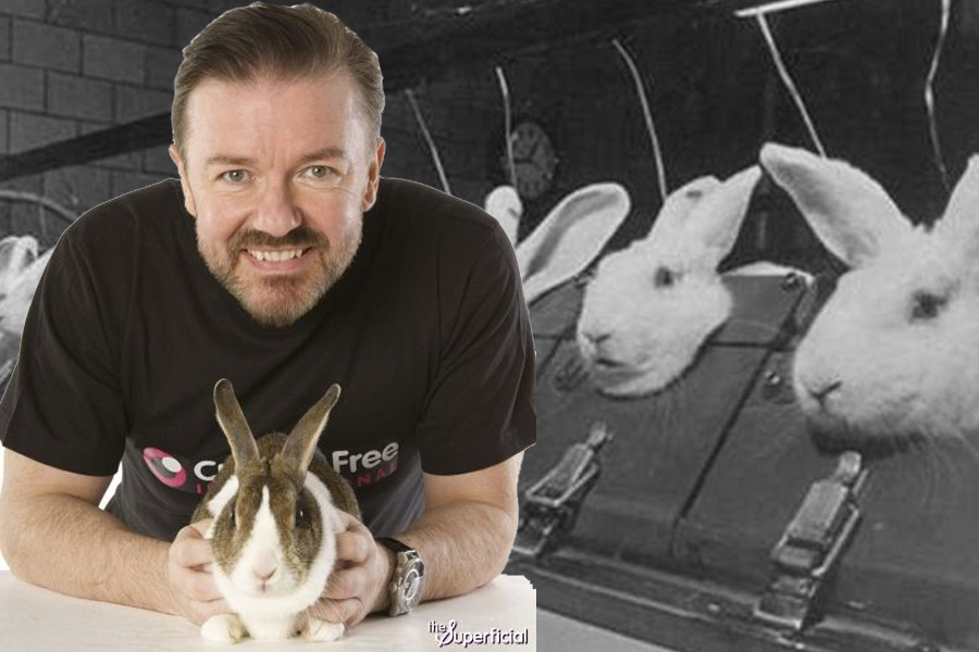 Gervais RabbitsUK