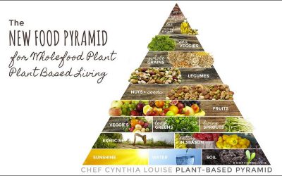 The US food pyramid is out-dated, unscientific and bad for the environment