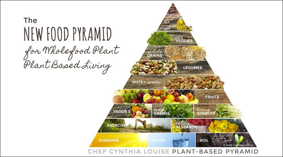 NewFoodPyramid