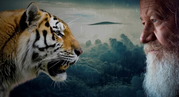 animals and humans aacc