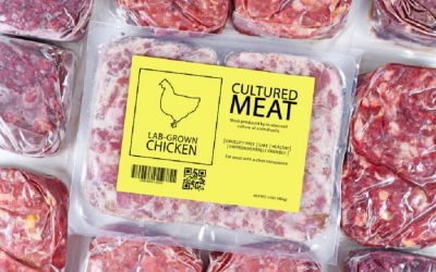 Study shows cultured meat will soon be a sustainable and affordable option
