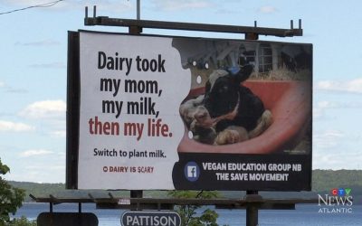 ‘Februdairy’ pro-dairy campaign fails to stop the slide in the sale of dairy products