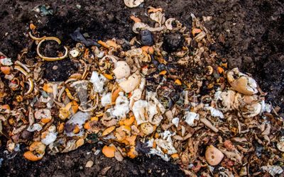 Emissions from food systems contribute much more to greenhouse gas emissions that thought