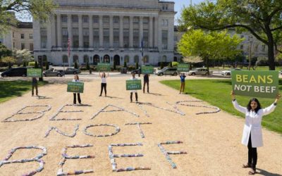 Doctors call on US government to promote a plant-based diet to fight the climate crisis