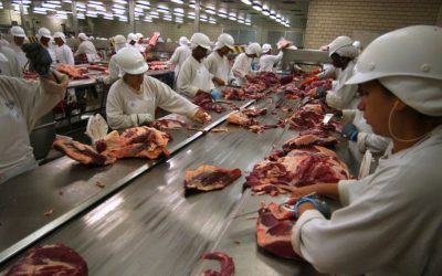 Big Meat spends millions on hindering progressive climate change action