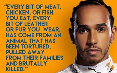Lewis Hamilton encourages his 21.8 million followers to “please stop eating meat”