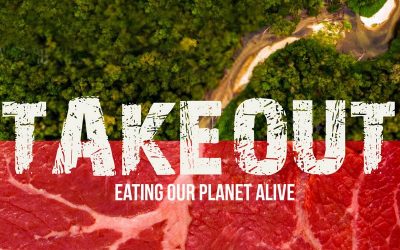 New documentary shows how fast-food is destroying the Amazon Rainforest